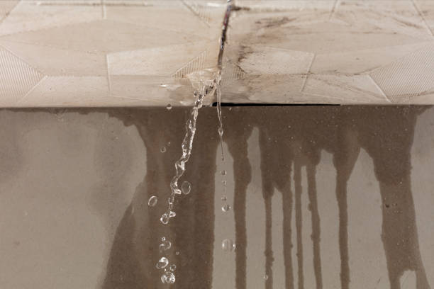 Professional Water Damage Repair technician working in Hawthorne, WI
